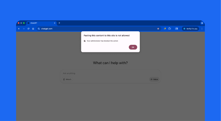 브라우저 데이터 보호 정책 설정 화면